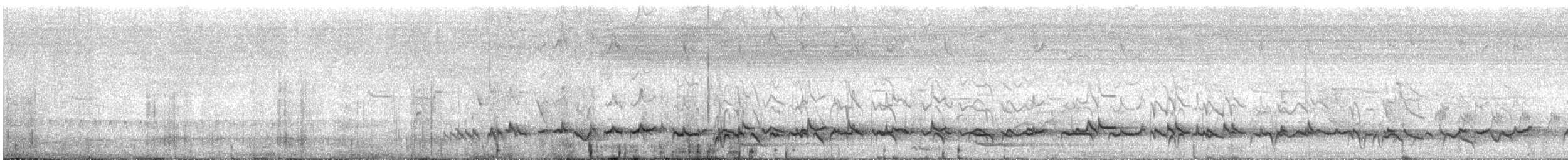 medosavka čárkovaná - ML646771284
