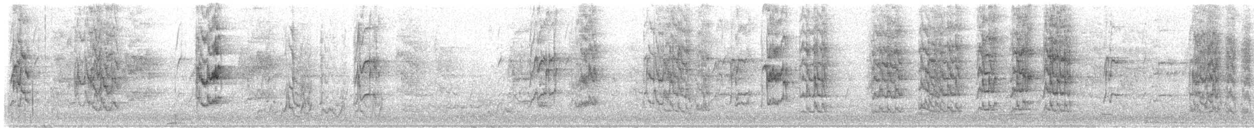 lori mošusový - ML646771290