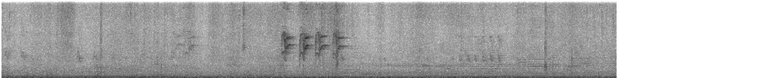 kos černý - ML646771500