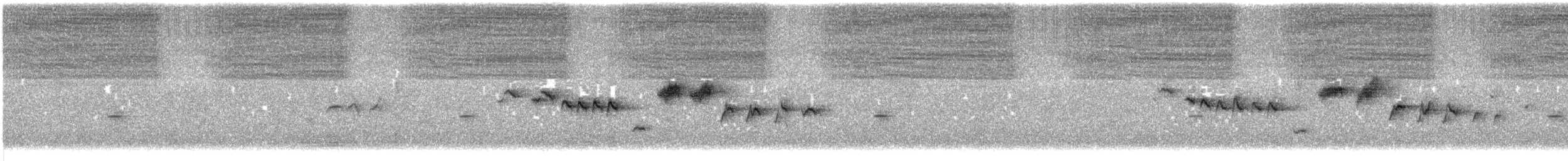 Shy Heathwren - ML646771567