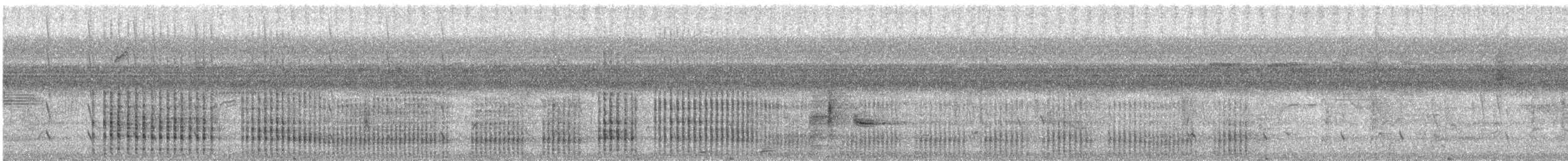 karančo jižní - ML646771569