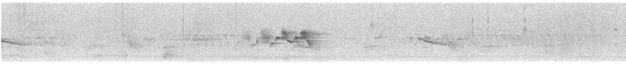 Black-throated Gray Warbler - ML646771613