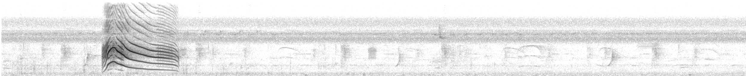 káně krahujová - ML646771634