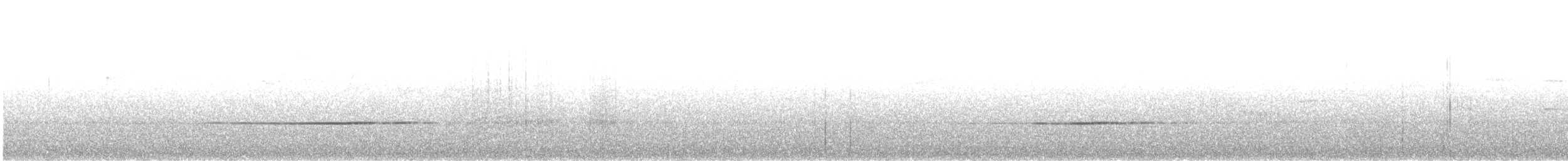 drozd australský - ML646771816