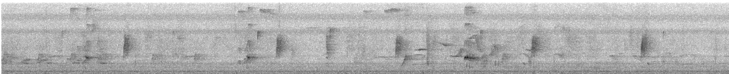 Ash-throated Flycatcher - ML646771854