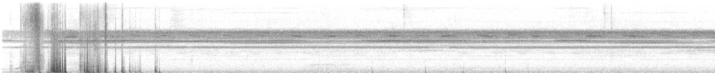 výreček neotropický - ML646771887