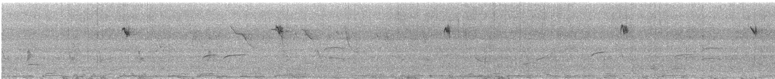 Beyaz Yakalı Kolibri - ML646771949