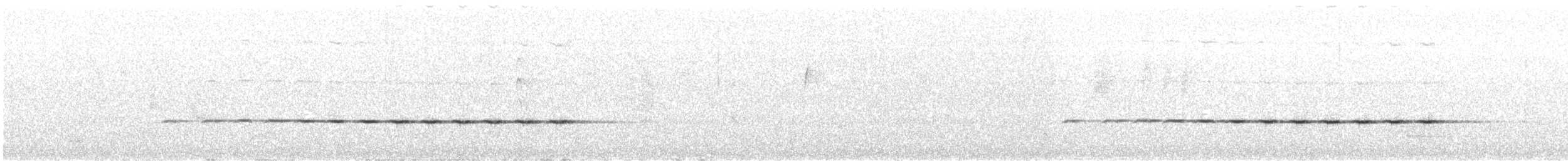 kosovec skvrnitý - ML646771981