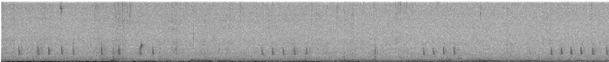 kos černý - ML646772042