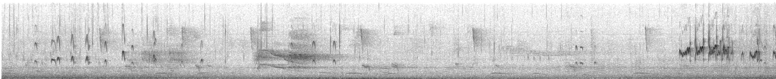 Least Sandpiper - ML646772083