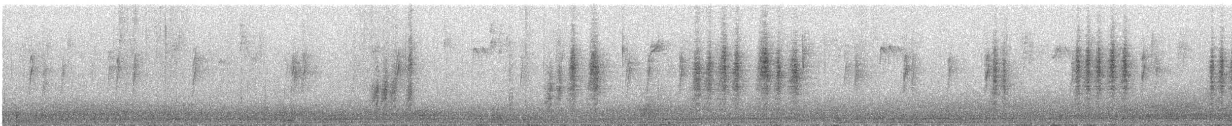 ub. gjerdesmett (Troglodytidae sp.) - ML646772308