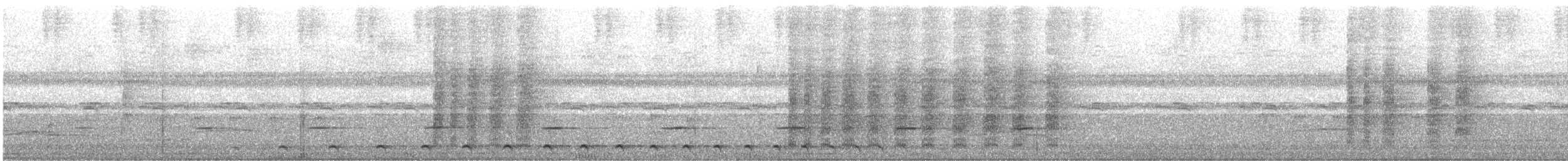 Great Antshrike - ML646772403