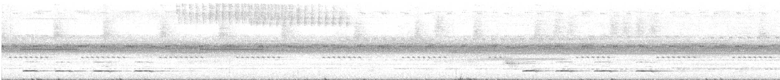 Chevêchette de Parker - ML646772592