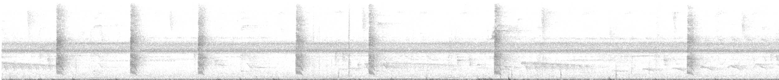 Anabate vergeté - ML646772602