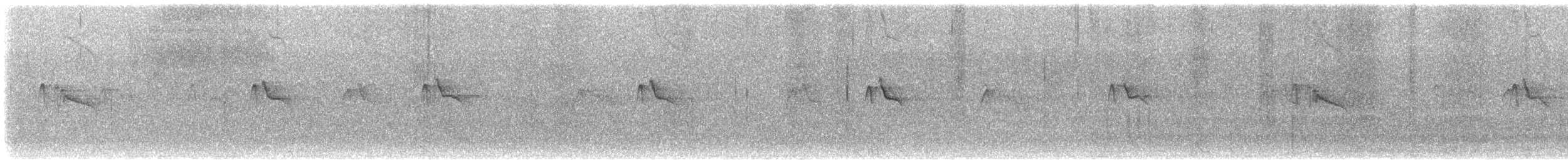 Black Phoebe - ML646773190