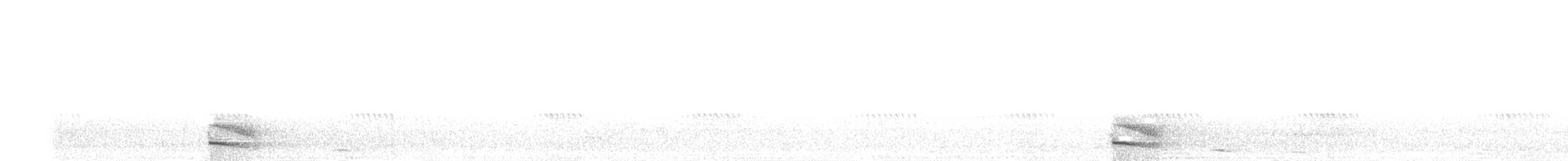 Australian Owlet-nightjar - ML646773266