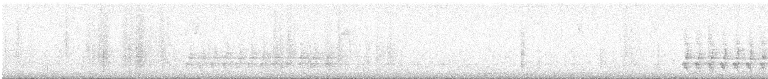 Steller's Jay - ML646773523