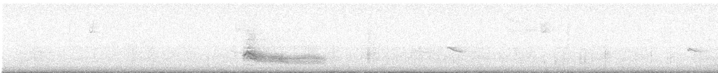 Steller's Jay - ML646773524