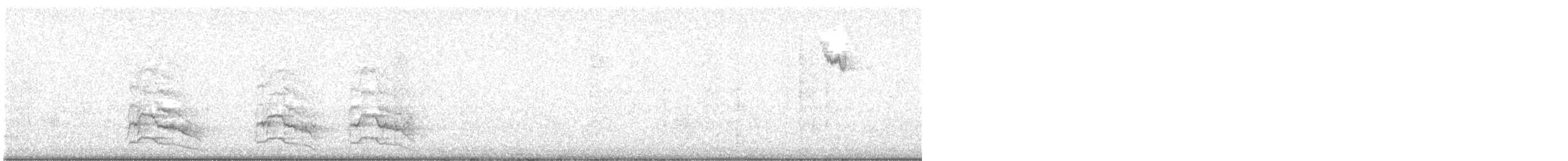 Steller's Jay - ML646773525