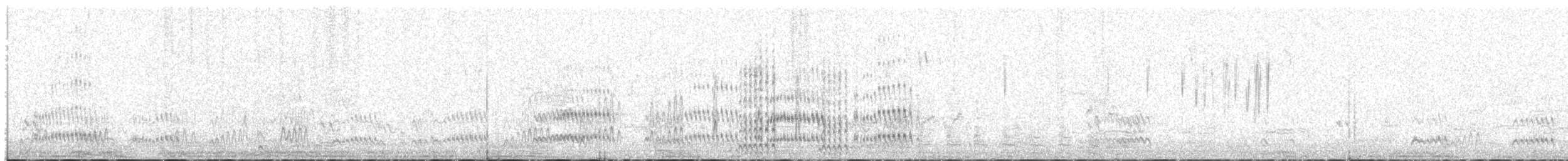 Pink-eared Duck - ML646773588