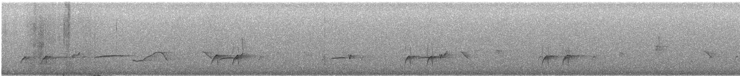 Greater Pewee - ML646773792