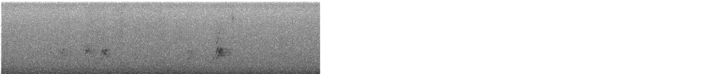 Mexican Jay - ML646773793