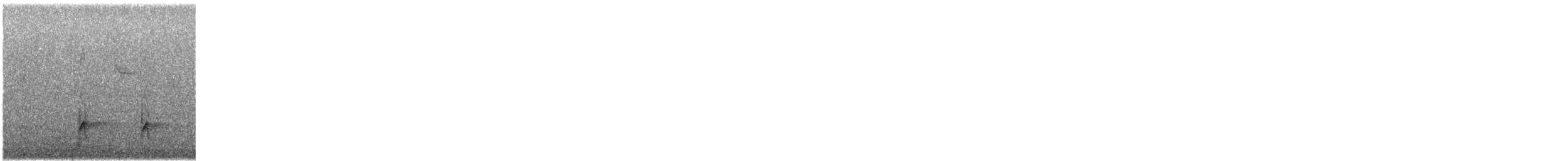 Greater Pewee - ML646773816