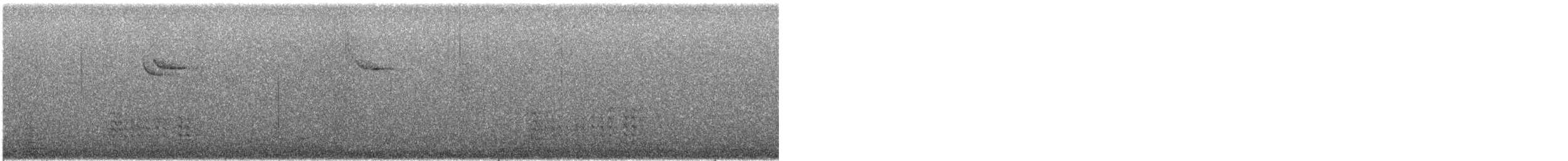 Sittelle à poitrine blanche - ML646773823