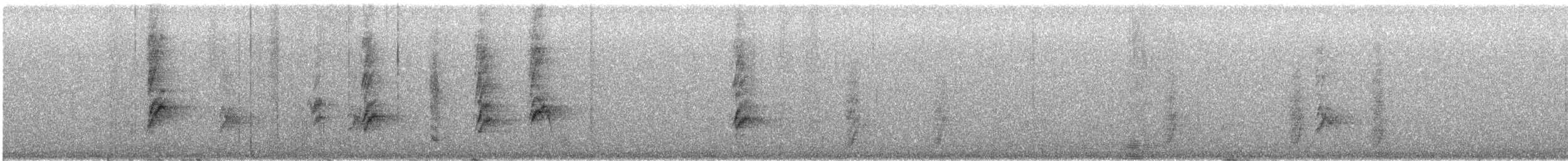 Mexican Jay - ML646773861