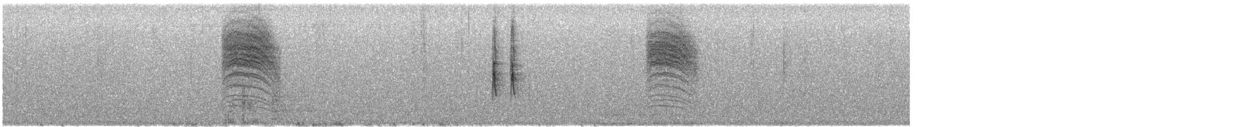 Black-capped Gnatcatcher - ML646773886