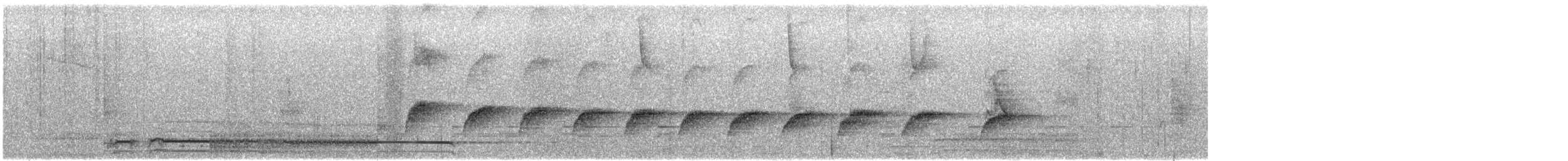 Sinaloa Wren - ML646774156