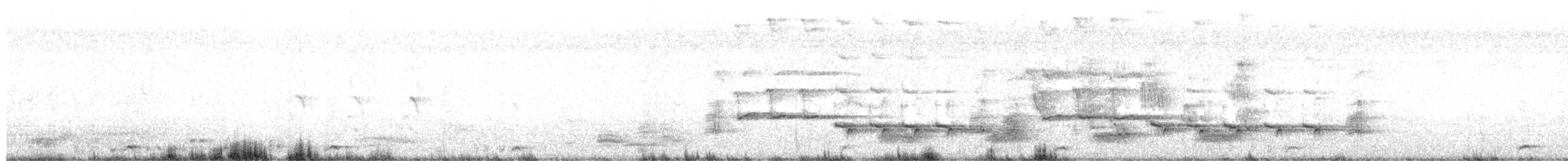 Gallineta Pechiblanca - ML646774263