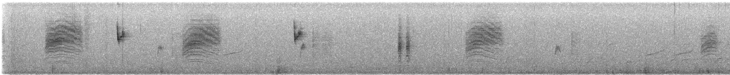 Black-capped Gnatcatcher - ML646774265