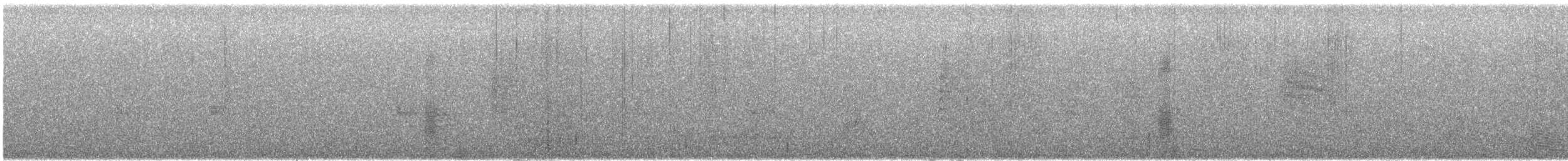 Masked Tityra - ML646774271