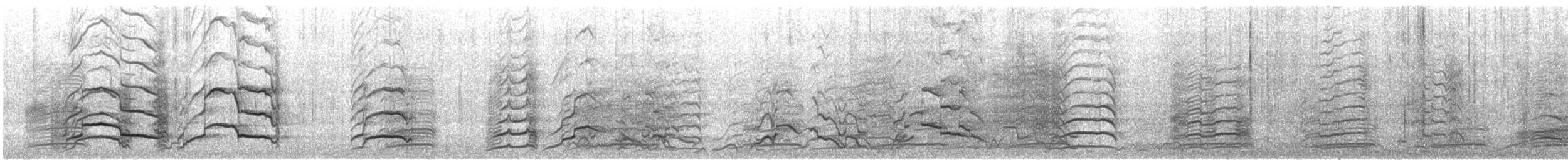 Carnaby's Black-Cockatoo - ML646774312