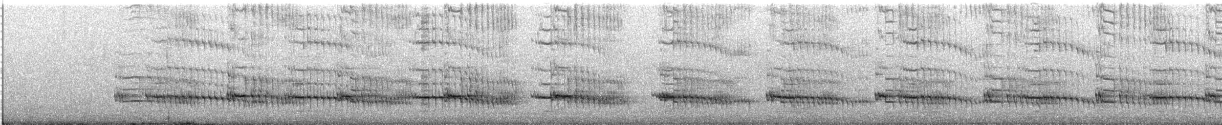 Streifenliest - ML646774332