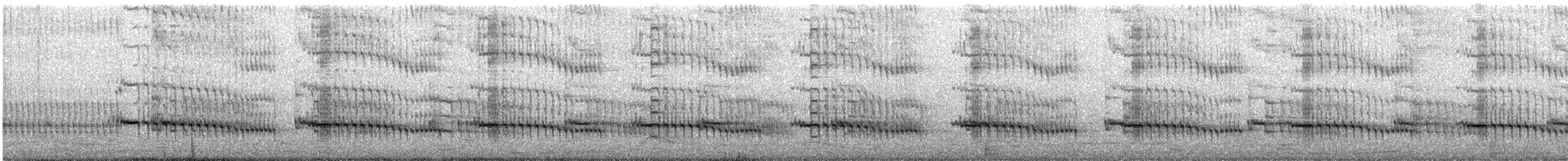 Streifenliest - ML646774334