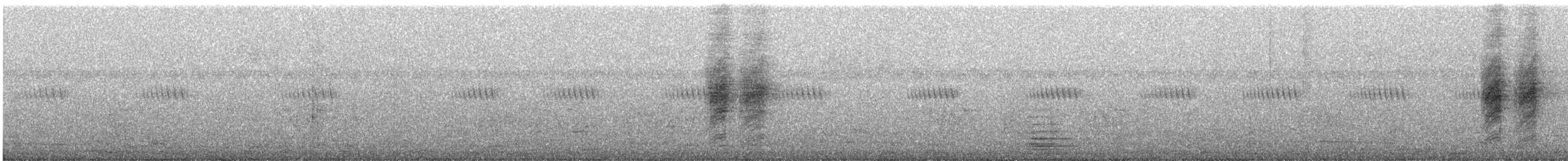 African Paradise-Flycatcher - ML646774345