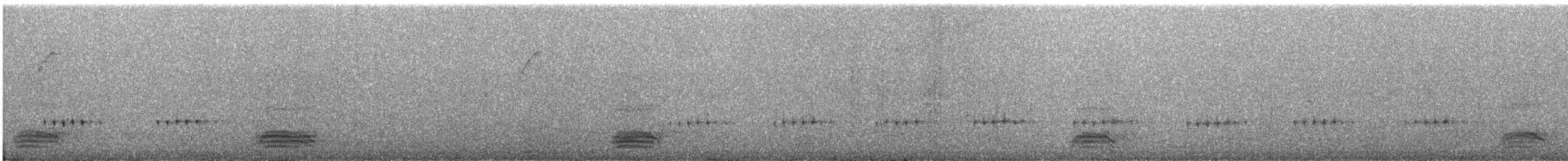 Wellenkehl-Bindensänger - ML646774351