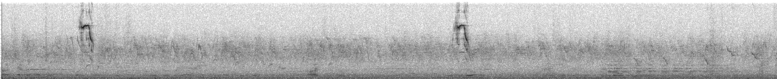 Scarlet-chested Sunbird - ML646774370