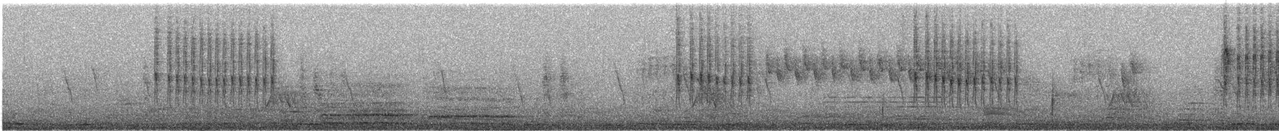 Southern Cordonbleu - ML646774413