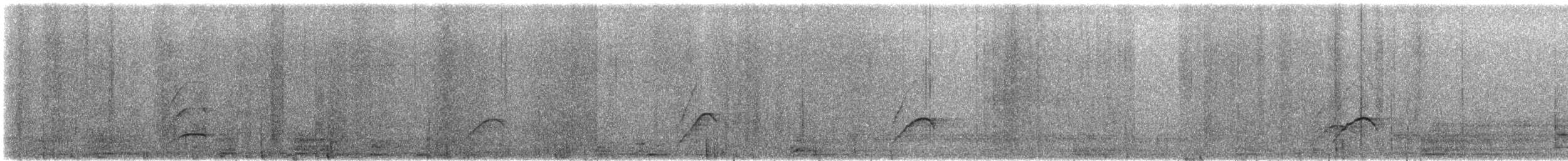 Rufous-bellied Chachalaca - ML646774459