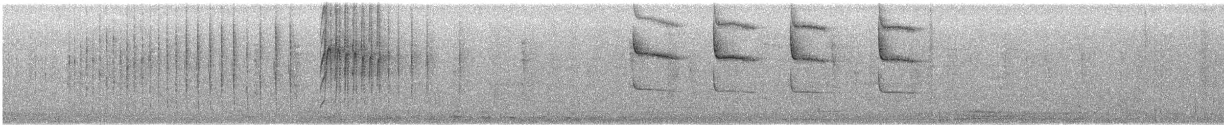 Violet-crowned Hummingbird - ML646774462