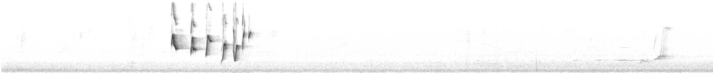 Noisy Scrub-bird - ML646774540