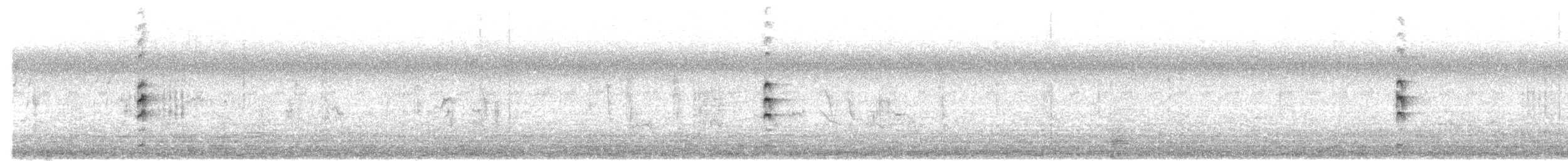 Slaty-breasted Rail - ML646774582