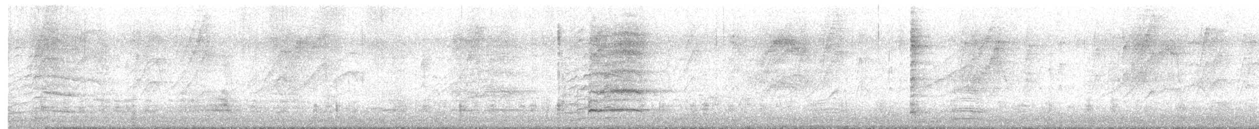 מנדרין אמריקני - ML646775050