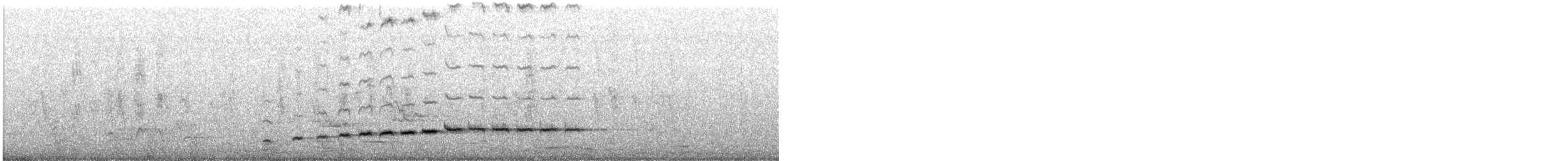 Spotted Morning-Thrush - ML646775123