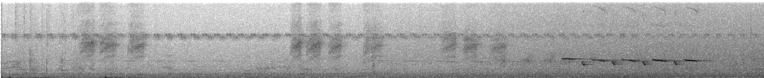 Spotted Morning-Thrush - ML646775126