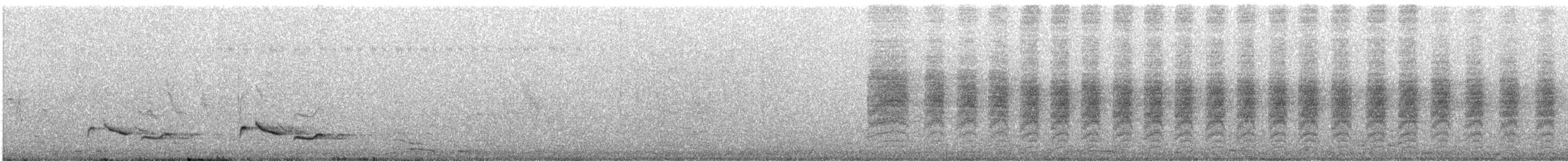 Spotted Morning-Thrush - ML646775127