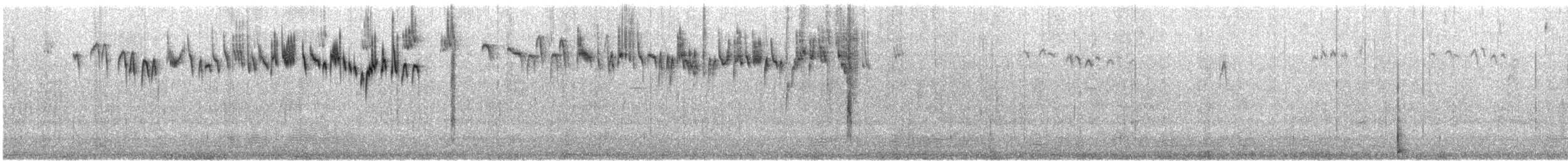 Прибрежный эмухвост - ML646775253